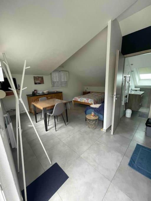 Studio Tout Equipe Aux Pieds Des Vosges Leimbach Kültér fotó