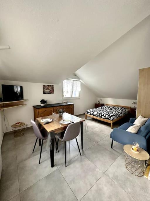Studio Tout Equipe Aux Pieds Des Vosges Leimbach Kültér fotó